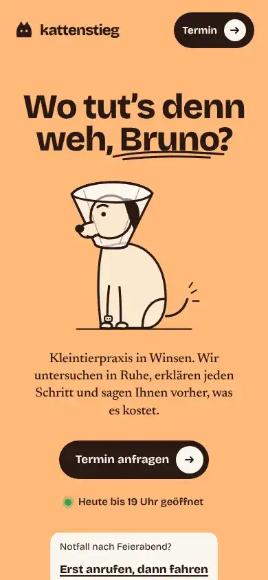 Kattenstieg on a phone