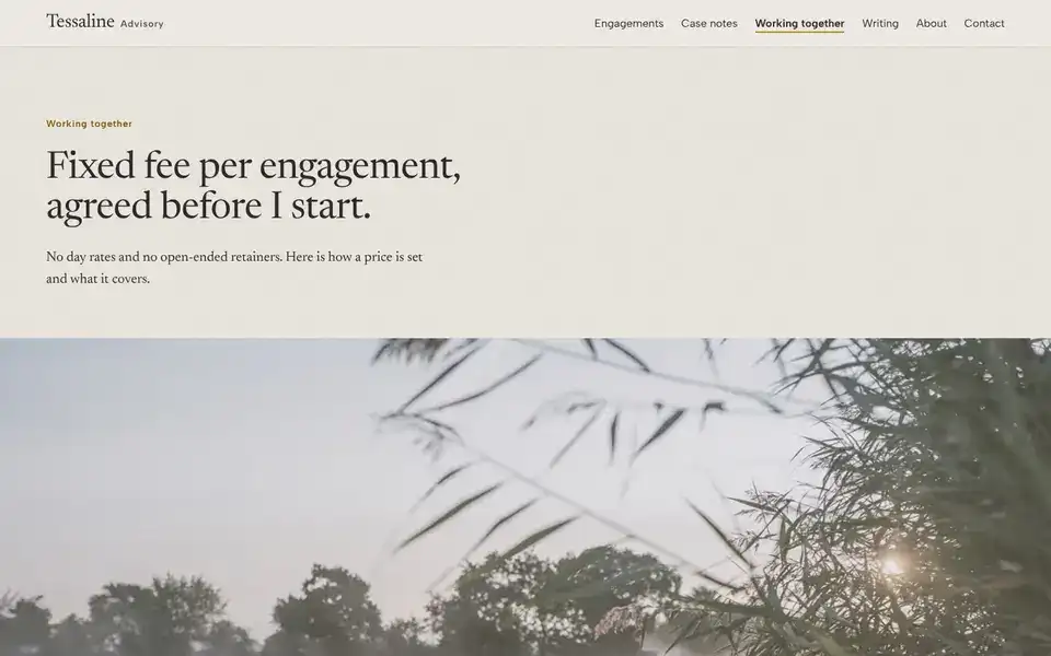 Tessaline, page "Working together (fees, terms)", first screen